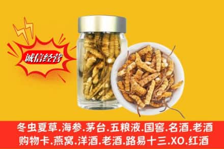 固始县回收散虫草