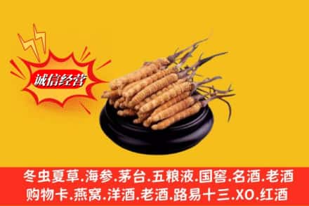 固始县名酒回收冬虫夏草.jpg